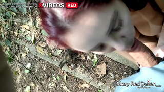 EGO SUSTULERUNT NOVA UNUM IN CAMPOS ET LACTAVIT EUM