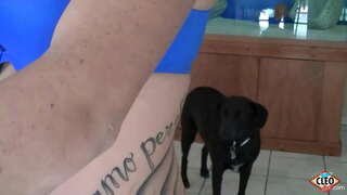 Ink Babe Sy Cleo hou daarvan om te gee&#039;n helpende hand wanneer&#039;n groot piel behoeftes stres vry te stel, selfs meer as wat sy kan kry warm cum al oor haar tits! So lekker! Volledige Video &amp;amp; Al Sy Cleo @ ItsCleoLive.com!